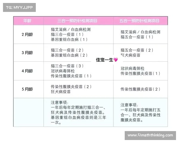 猫身传染病预防治疗攻略 猫身传染病预防治疗攻略